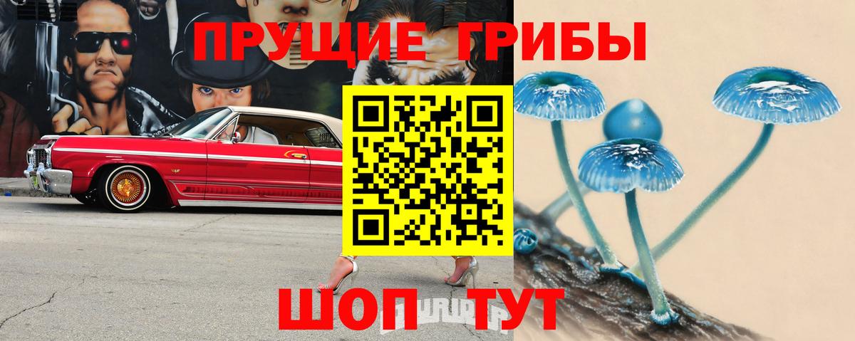 Галлюциногенные грибы Psilocybine cubensis Ейск